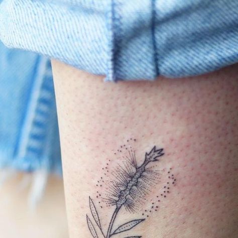 Kalula Tattoo, Bottle Brush Flower, Brush Flower, Botanical Tattoo, Hand Poke, December 19, Bottle Brush, Tattoos