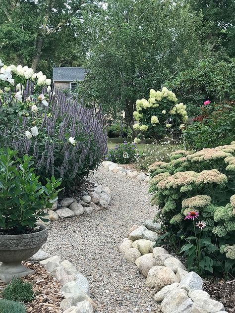 The Accidental Gardener | Cape Cod LIFE Cape Cod Landscaping Ideas, Cape Cod Landscaping Front Yards, Stoop Ideas, Cape Cod Landscaping, Rock Border, Front Stoop, Blue Cape, Cape Cod Style, Cape Cod House