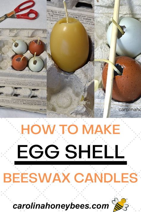 You can use almost anything for candle molds - even egg shells. Learn how to make egg shell beeswax candles. #carolinahoneybees #beeswaxcandles #eggshellcandles Egg Shell Candles, Egg Shell Crafts, Beeswax Uses, Making Beeswax Candles, Bee Candle, Beeswax Recipes, Egg Candling, Beeswax Candles Diy, Egg Candle