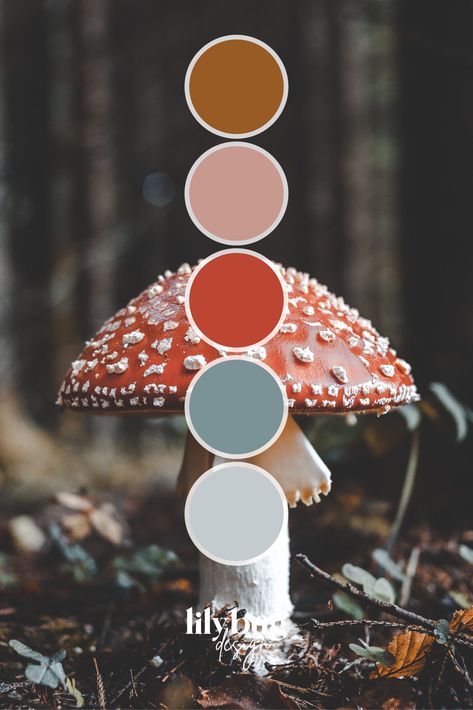 Mushroom Forest Colour Palette Mushroom Palette Color Schemes, Mushroom Forest Color Palette, Indie Color Palette Aesthetic, Mushroom Colour Palette, Cottagecore Colour Palette, Store Color Palette, Mushroom Color Palette, Cute Colour Palette, Mushroom Palette