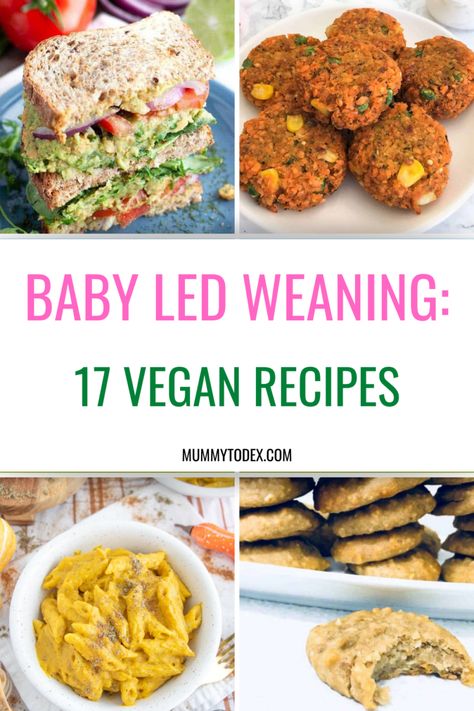 Vegan Baby Led Weaning Recipes - 17 Delicious Ideas | Mummy to Dex Vegan Baby Led Weaning, Recipes For Baby Led Weaning, Recipes For Baby, Led Weaning Recipes, Baby Led Weaning Breakfast, Weaning Baby, Baby Lunch, Weaning Foods, Baby Dinner