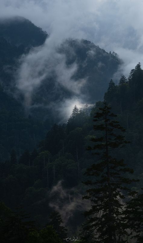 This long exposure photograph captures the serenity of drifting clouds in Great Smoky Mountains National Park Appalation Mountains, Gloomy Fall Aesthetic, Beautiful Pictures Of Nature, Dark Trees, Dark Mountains, Dark Nature, Hollywood Fl, Dark Nature Aesthetic, Girly Wall Art