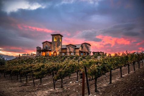 Temecula Wineries, California Winery, Wine Tasting Experience, Better Homes And Garden, California Dreaming, Wine Enthusiast, Beer Garden, Wine Region, Beer Lovers