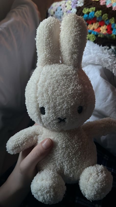 Rabbit Teddy Bear, Miffy Teddy Bear, Miffy Teddy, Bunny Teddy Bear, Bunny Teddy, Soft Toys Aesthetic, Baby Toys Aesthetic, Bunny Baby Room, Teddy Bear Room