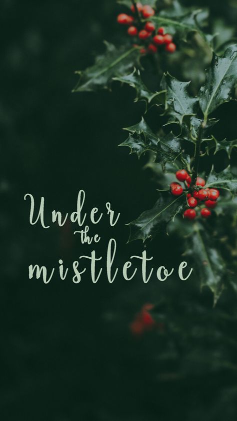 The Mistletoe Mistletoe Aesthetic Wallpaper, Christmas Wallpaper Mistletoe, Christmas Mistletoe Aesthetic, Mistletoe Aesthetic, Mistletoe Wallpaper, Mistletoe Art, Winter Widgets, Christmas Phone Backgrounds, Winter Journal