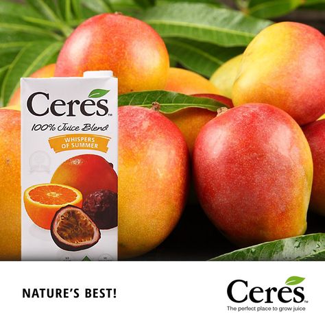 Ceres Whisper of Summer Juice. The taste of juicy, zesty orange and passion fruit juices blended with exotic mango created this summer sensation! This aromatic blend is crafted from summary fruits, full of nutrients and vitamin C. Ingredients: Apple juice, Orange juice, Peach puree, Grape juice, Passion fruit juice, Mango puree, Vitamin C Passion Fruit Perfume, Fresh Pressed Orange Juice, Orange Juice Brands, Welches Grape Juice, Summer Juice, Organic Orange Juice, Passion Fruit Juice, Peach Puree, Fruit Juices