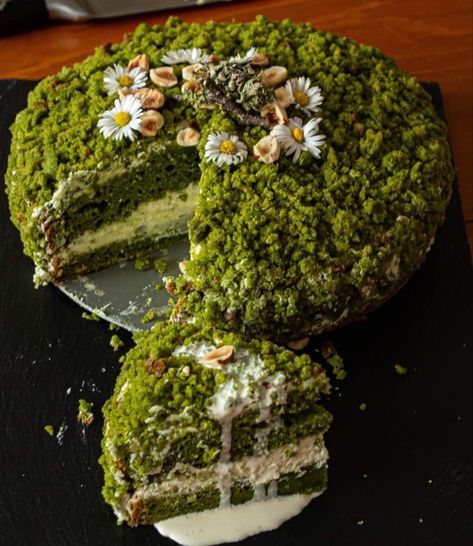 Moss Cake, 18th Cake, Keto Cookie Recipes, Woodland Cake, Cool Cake Designs, Green Cake, Stinging Nettle, Amazing Cake, Forest Cake