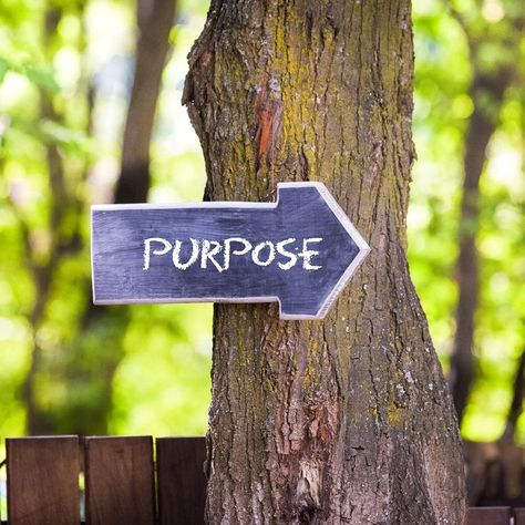 Take the purpose quiz to find out how strong your sense of purpose is and ways you can strengthen it. 💪 Sense Of Purpose, Life Satisfaction, Purpose In Life, Steps To Success, Forest Art, Achieving Goals, Great Life, Life Purpose, School Projects