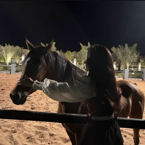 Horse Riding Aesthetic, Horse Aesthetic, Shadow Photos, Horse World, Horse Life, Underwater Photography, Horse Love, Horse Girl, Beautiful Horses