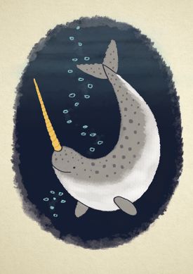 narwhal - Alex Ashman Illustration & Design© Narwhal Illustration, Narwhal Drawing, Woman Drawings, Illustration Art Design, Illustrator Illustration, Narwhal, Pattern Ideas, Art And Illustration, Bat Signal