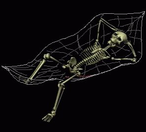 Skeleton GIF - Skeleton - Discover & Share GIFs Animiertes Gif, Adam Young, Skeleton Dance, Owl City, Film Disney, Funny Skeleton, Funny Cartoon Gifs, Ghost Hunters, Spooky Scary