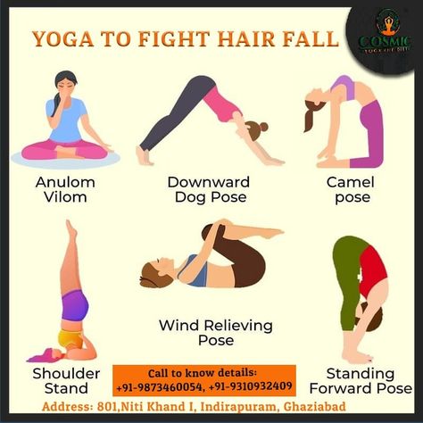 Yoga to fight hair fall. . 📞+91-9873460054, +91-9310932409 . ✅Online Yoga Classes ✅Offline Yoga Classes ✅Online Diet Nutrition #cosmicyogadiet #diet #yogabeginner #yogainspiration #yogabenifits #yogadiet #yogadiet #weightloss #loseweight #loseweightfast #healthydiet #healthyfood #weightgain #healthydiet #yogaclass #loseweight #weightloss #yogabenifits #yogabreathing #hairfall #yogabenefits #WeekendYoga #WeekendYogaclasses Female Exercise, Harshdeep Kaur, Hair Yoga, Yoga Terms, Online Diet, Morning Yoga Workouts, 30 Day Workout Plan, Yoga Flow Sequence, Yin Yoga Poses