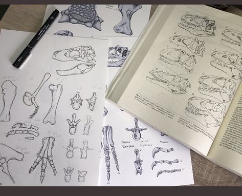 Dinosaur Drawing Sketch, Bones Sketch, Dinosaur Journal, Dinosaur Sketch, Dinosaur Drawing, Dinosaur Bones, Dinosaurs, Drawing Sketches, Bones