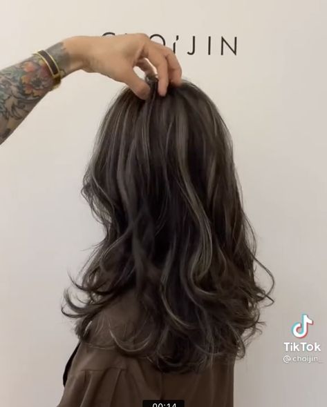 Asian Hair Color No Bleach, No Bleach Hair Color For Dark Hair, No Bleach Highlights, Ashy Babylights, Non Bleach Hair Color For Dark Hair, Balayage For Black Hair Asian, No Bleach Hair Dye For Dark Hair, Asian Hair Inspo, Bleach Hair Color