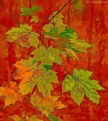 green  orange Art With Green, Color Theory Art, Desktop Wallpaper Pattern, Inspo Board, Orange And Green, Backdrops Backgrounds, Green Art, Autumn Art, Art Clipart