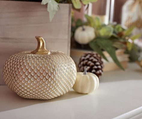 5" Gold Carved Resin Pumpkin | Big Lots Autumn Decorations Indoor, Thanksgiving Dec, Elegant Fall Decor, Resin Pumpkin, Modern Fall Decor, Dollar Tree Pumpkins, Pumpkin Topiary, Gold Pumpkins, Autumn Display