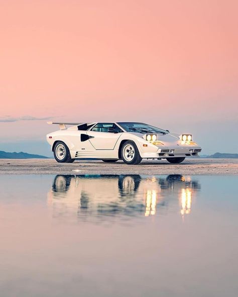 Lamborghinis & Alpacas What’s your favourite Lamborghini ever? Comment! ⬇️ 📸: @alexpenfold 🏎: @thestradman 🦙 : @peppergrassranch , DM… | Instagram Expensive Sports Cars, Lamborghini Countach, Street Racing Cars, Futuristic Cars, Auto Accessories, Expensive Cars, Drift Cars, Car Photography