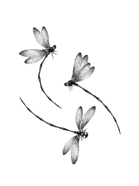 Dragonfly Tattoo Ideas, Small Dragonfly Tattoo, Dragonfly Drawing, Flying Tattoo, Tattoos Infinity, Dragonfly Tattoo Design, Insect Tattoo, Muster Tattoos, Inspiration Tattoos