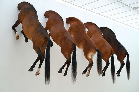 Maurizio Cattelan at Fondation Beyeler. Video coming soon. Johnson Tsang, Maurizio Cattelan, Wax Statue, Jenny Holzer, Art 2023, Cindy Sherman, Antony Gormley, Conceptual Artist, Performance Artist