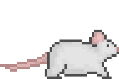 Pixel Animal Gif, Rat Pixel Art, Cute Transparent Gif, Gif Aesthetic Png, Cute Divider Gif, Cute Png Gif, Pixel Gif Png, Pixel Gift, Transparent Gif