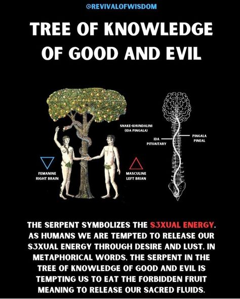 Forbidden Ancient Knowledge, Universal Knowledge, The Tree Of Knowledge, African History Truths, Tree Of Knowledge, Kemetic Spirituality, Spiritual Psychology, Spiritual Awakening Signs, Ancient History Facts