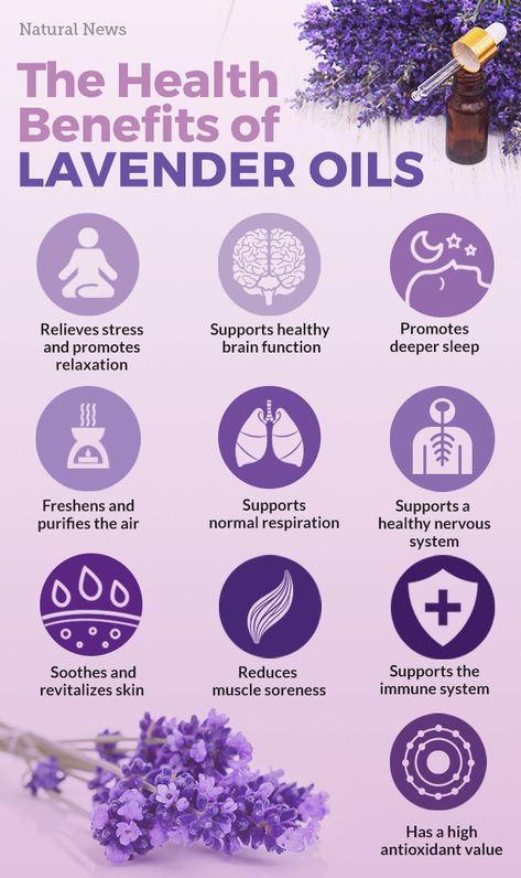 Why lavender is the most important essential oil to use right now Lavender Oil Witchcraft, Lavender Healing Properties, Benefits Of Lavender Plants, Essential Oils And Benefits, How To Use Lavender Essential Oil, Lavender Properties, Lavender Doterra, Lavender Plant Uses, Lavander Oil