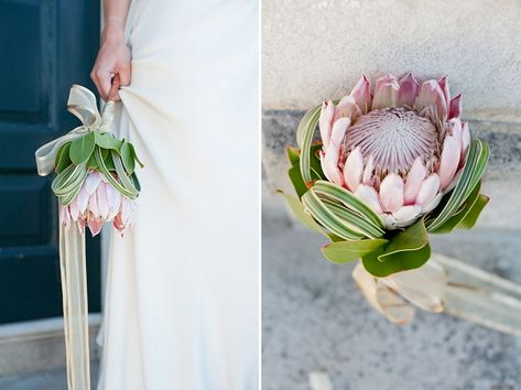 Single Flower Bouquet, Protea Wedding, Protea Bouquet, Bouquet Bride, Spider Plant, Modern Luxe, Single Flower, Tropical Wedding, Bridal Flowers