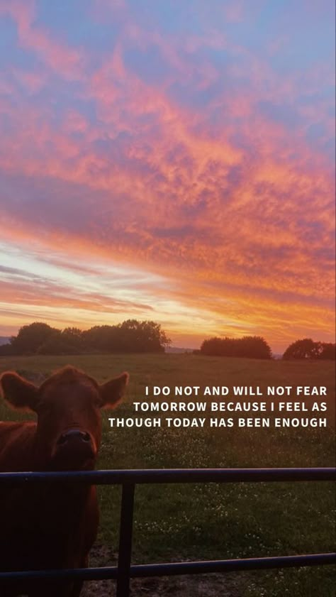 Western Wallpaper Lyrics, Country Life Wallpaper Iphone, Aesthetic Zach Bryan Wallpaper, Fear And Fridays Zach Bryan Wallpaper, Fear And Fridays Zach Bryan Poem, Simple Western Wallpaper, Zb Wallpaper, Western Phone Backgrounds, Country Iphone Wallpaper