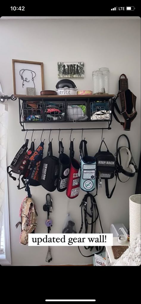 Dog Wall Organization, Dog Harness Organization, Service Dog Organization, Dog Collar Storage Ideas, Dog Harness Storage, Dog Equipment Storage, Working Dog Gear, Service Dog Gear Organization, Service Dog Gear Wall