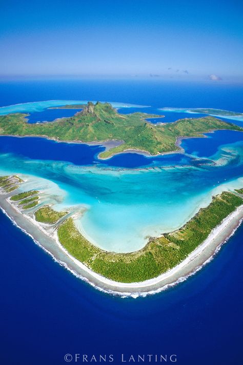 Pacific Islands, French Polynesia, Vacation Places, Corfu, Bora Bora, South Pacific, Beautiful Islands, Places Around The World, Tahiti