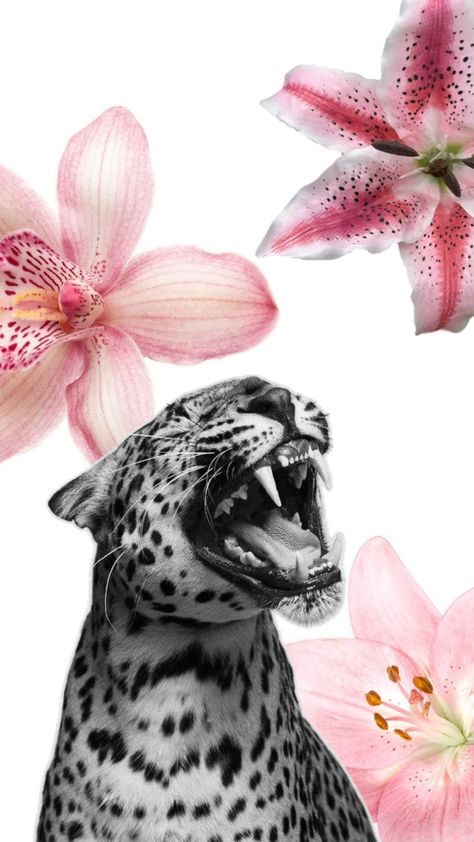 Wallapers Aesthetics Iphone, Tiger And Flowers, Iphone Wallpaper Blur, Cheetah Print Wallpaper, Tiger Wallpaper, Cute Summer Wallpapers, Wallpaper Iphone Summer, Iphone Wallpaper Photos, Iphone Wallpaper Themes