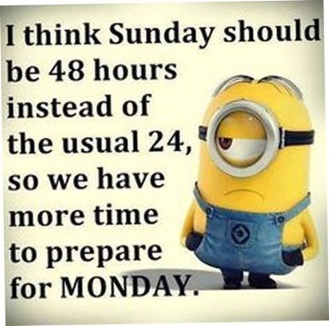 Sunday Humor, Sunday Quotes Funny, Funny Minion Pictures, Funny Minion Memes, Minion Jokes, Minions Love, A Minion, Sunday Quotes, Quote Of The Week