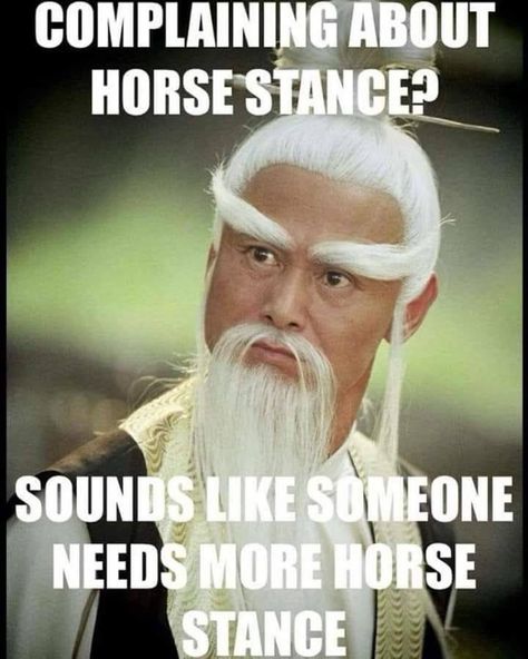 Horse stance Martial Arts Humor, Martial Arts Sparring, Martial Arts Quotes, Tang Soo Do, Karate Training, Best Martial Arts, Karate Martial Arts, Martial Arts School, Pencak Silat