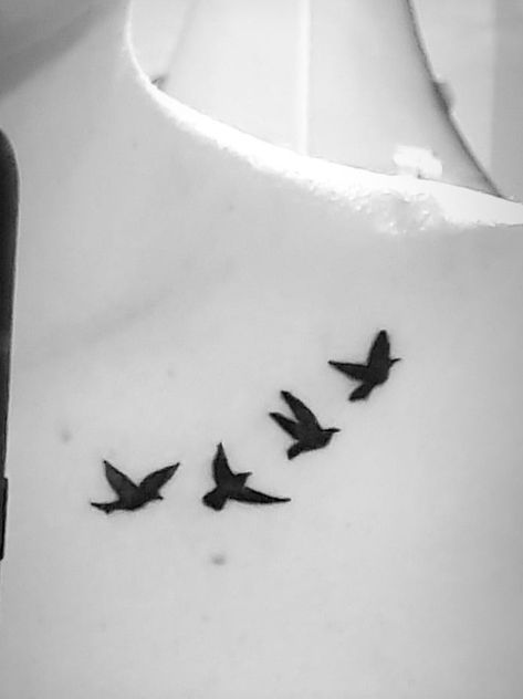 Crow Collarbone Tattoo, Bird Chest Tattoo Female, 3 Bird Tattoos For Women, Bird Tattoo Collarbone, 3 Birds Tattoo, Bird Silhouette Tattoos, Bird Collar, Clavicle Tattoo, Bird Tattoos For Women