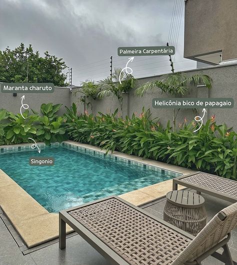 Garden Pool Design, Tropical Backyard Landscaping, Pool Plants, Tropical Backyard, Backyard Remodel, Welcome To The Jungle, Small Backyard Pools, Garden Pool, Tropical Landscaping