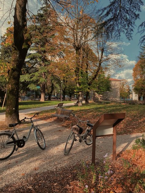 Autumn Bike Ride Aesthetic, Autumn Bike Ride, Bright Fall Aesthetic, Fall Bike Ride, Bike Riding Aesthetic, October Goals, Bike Ride Aesthetic, Winter Dates, Aesthetic Fall Vibes