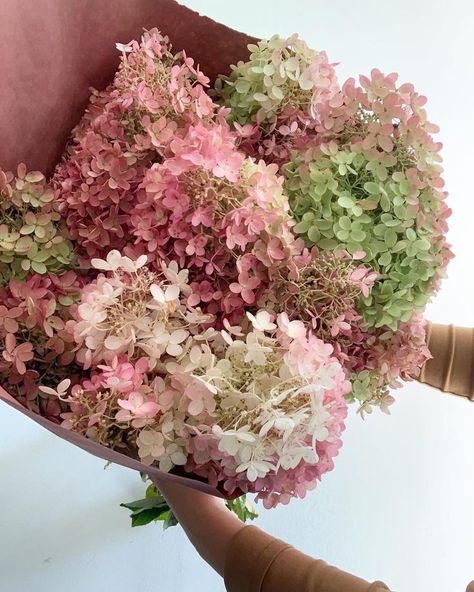 Pink Hydrangea Bouquet, Antique Rose Bouquet, Pee Gee Hydrangea, Floral Designs Arrangements, Hanging Installation, Limelight Hydrangea, Long Stem Flowers, Hydrangea Arrangements, Flower Types