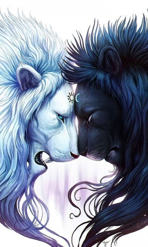 Face To Face, The Light, I Love You, Lion, Love You, I Love, White