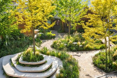 Park Ideas Design, Healing Garden Design, Wellness Garden, Terraced Landscaping, Urban Landscape Design, Healing Garden, Landscape Elements, Landscape Architecture Design, Garden Images