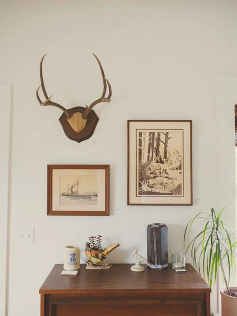 Deer Horn Decor Ideas, Modern Hunting Decor, European Mount Decor, Deer Mounts In Living Room, Deer Heads Living Room, Decorating With Deer Mounts, European Mount Ideas, Deer Antler Wall Decor, Deer Wall Mount