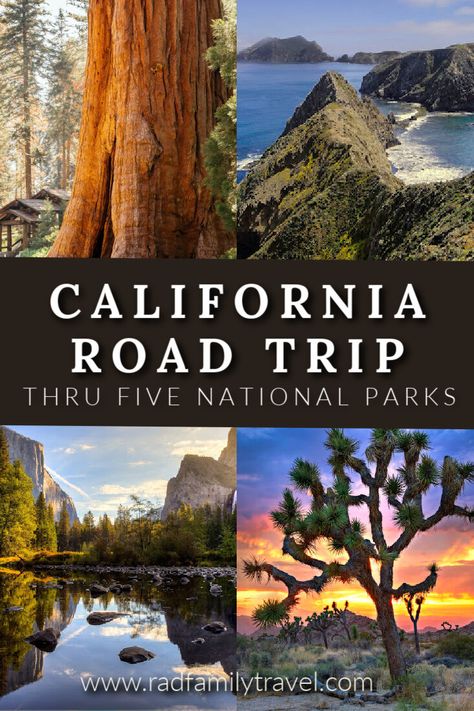 Sequoia National Park Road Trip, California Trip Itinerary, Yosemite And Sequoia Itinerary, California National Park Road Trip Map, California National Park Road Trip, Blue Tacoma, National Parks Road Trip, California Road Trip Itinerary, Usa Places