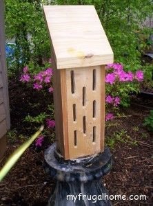 A Butterfly House Butterfly Feeder, Hummingbird House, Bat House, Butterfly Houses, Insect Hotel, Bird House Plans, Bird House Kits, Bird Aviary, Hummingbird Garden