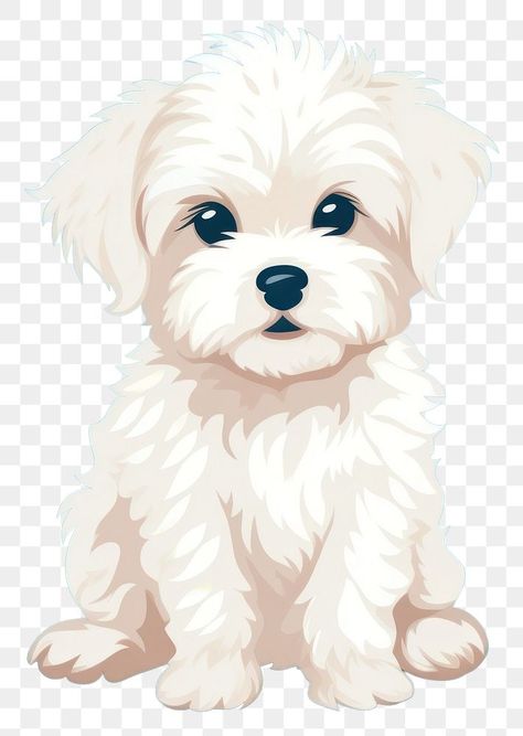 Fluffy White Dog Drawing, Pet Portraits Illustration, Maltese Clipart, Cute Puppy Drawing, Puppy Drawing Easy, Maltipoo Dog, Morkie Puppies, Dog Animation, Aesthetic Png