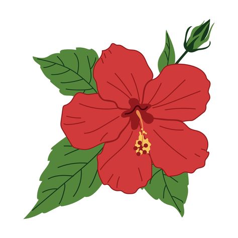 Red Hibiscus Flower Red Hibiscus Flower, Red Hibiscus, Tree Saw, Heart Tree, Hibiscus Flower, Cityscape Photos, Flower Clipart, Logo Banners, Nature Backgrounds