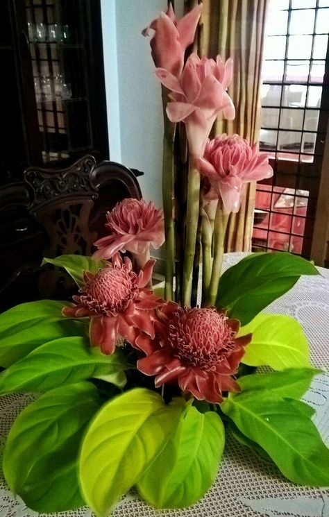 Torch Ginger Flower Arrangement, Ginger Flower Arrangement, Amaryllis Arrangement Christmas, Ginger Plant Flower, Hawaiian Flower Arrangements, Torch Ginger Flower, Amaryllis Arrangement, Ginger Flowers, Glass Decor Ideas