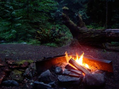 Sustainability Technology Blog - Sustainability Technology Wilderness Living, Review Quotes, Fire Image, Start A Fire, The Lord Is Good, Best Answer, Off Grid Living, The Wilderness, Survival Skills