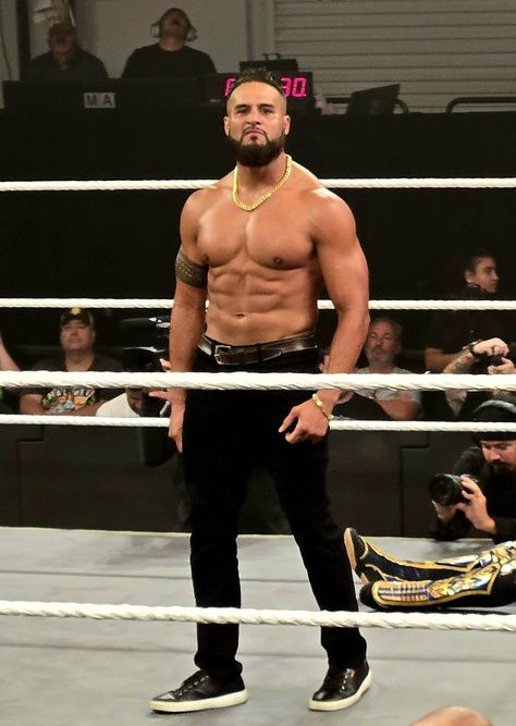 Tama Tonga, Samoan Dynasty, Wrestling Stars, Best Boyfriend, Tonga, Muscles, Wwe, Wrestling, Stars