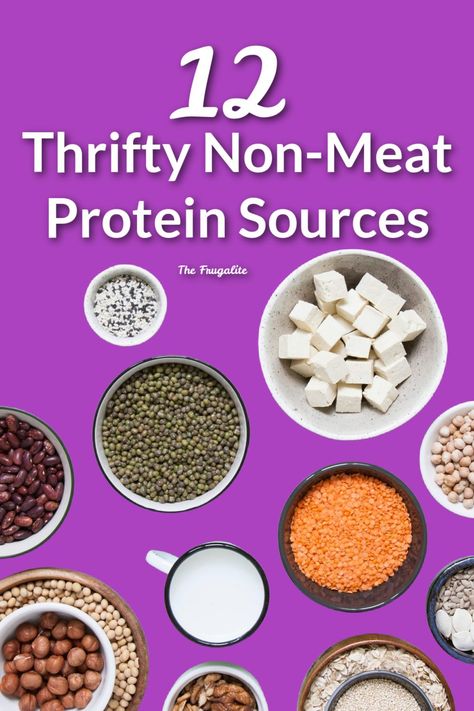 Non Meat Protein Sources, Dry Beans Recipe, Cheap Protein, Make Your Own Yogurt, Sources Of Protein, Vegan Protein Sources, Cheap Meat, Pure Protein, Meat Alternatives