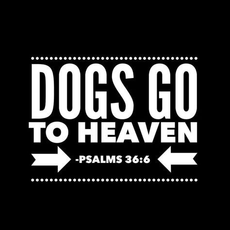 Dog's go to Heaven to. Quotes Heaven, Dogs Go To Heaven, Dogs Quotes, To Heaven, Animal Quotes, Dog Quotes, Yorkshire Terrier, Dog Life, I Love Dogs