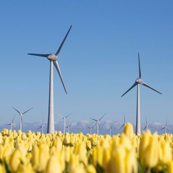 Wind Farm Illustration, Netherlands Windmills Tulip Fields, Kinderdijk Windmills, Yellow Tulips, The Netherlands, Wind Turbine, Netherlands, Blue Sky, Tulips